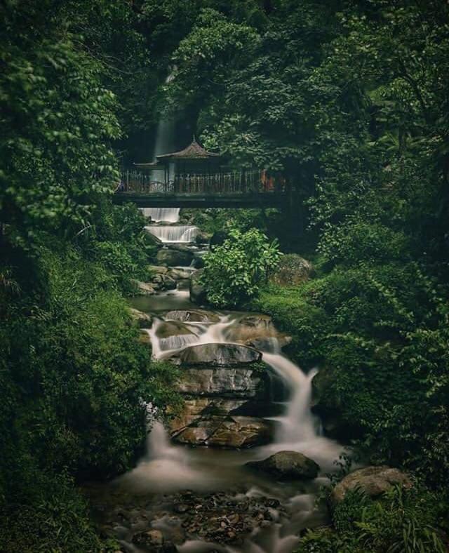 Hotel Woileem Gangtok Exteriér fotografie